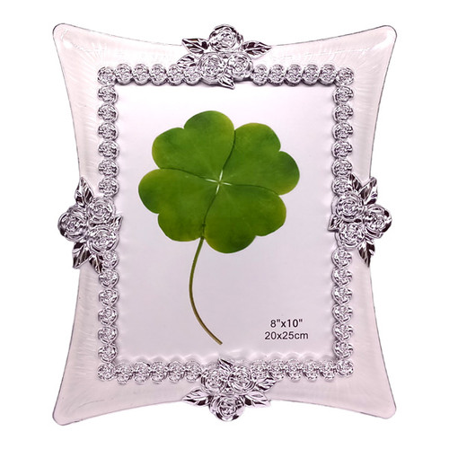 White Photo Frame with Silver Color Rose Border