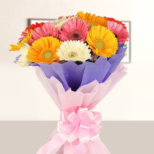 10 Fresh Mix Color Gerbera Daisy Bunch