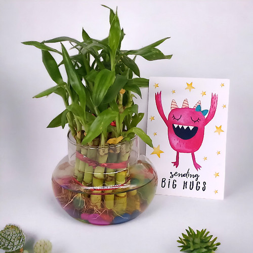 Natural Bamboo Plant With Sending Big Hug Greeting Card Gift