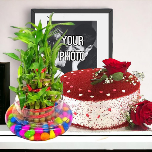 Red Velvet Cake With Lucky Bamboo & Music Design Frame