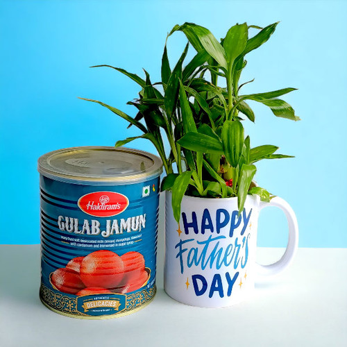 Father's Day Mug With Plant & Haldiram's Sweets 1 kg