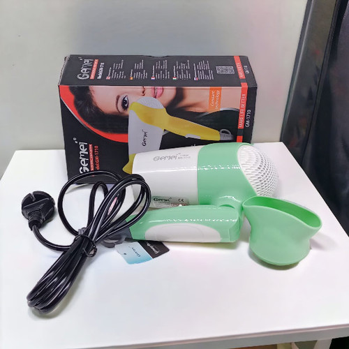 Gemei Professional Hair Dryer