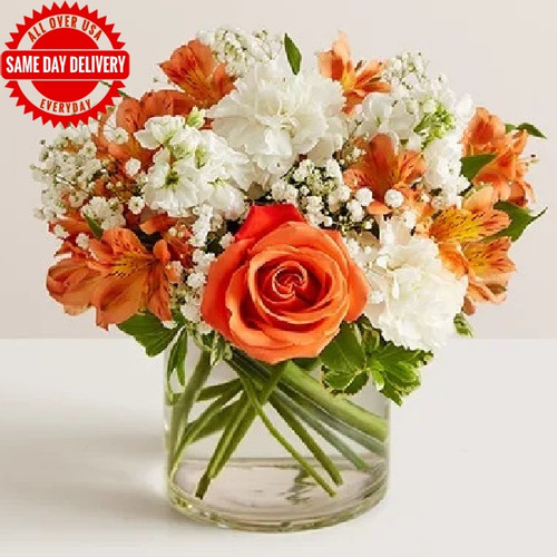 Sunset Desire (USA Delivery Only)