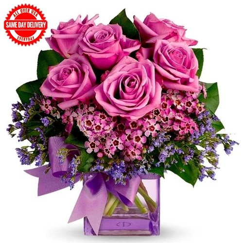 Purple Morning Melody (USA Delivery Only)