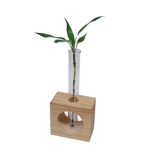 Attractive Test Tube Planter With Wooden Stand- Single Plant