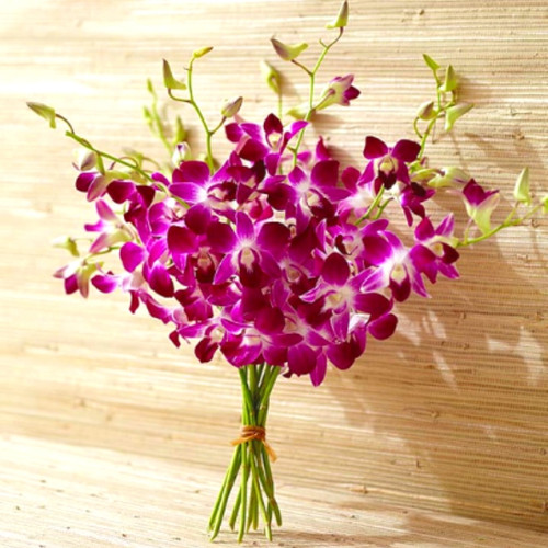 Purple Orchids (USA Delivery Only)