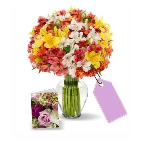 100 Blooms of Alstroemeria (Canada Delivery Only)