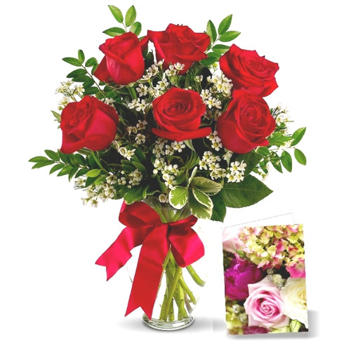 Half Dozen Sweetheart Roses (Canada Delivery Only) Half Dozen Sweetheart Roses (Canada Delivery Only)