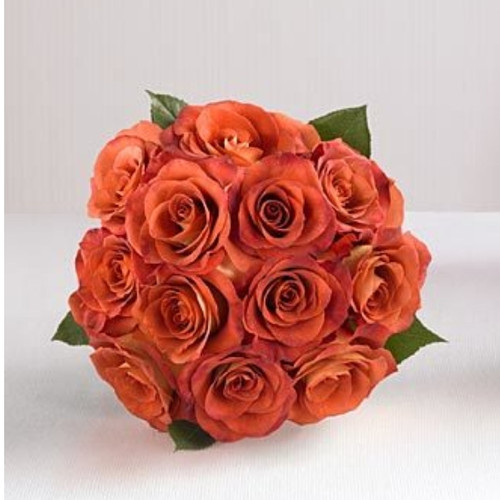 12 Orange Roses (Canada Delivery Only)