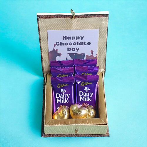 The Purrfect Treat: A Box of Chocolaty Goodness
