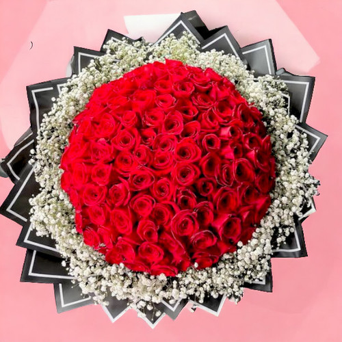 A Hundred Blooms of Red Roses