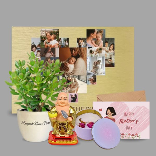 Relaxing Gift with Candle, Buddha, and Plant Combo