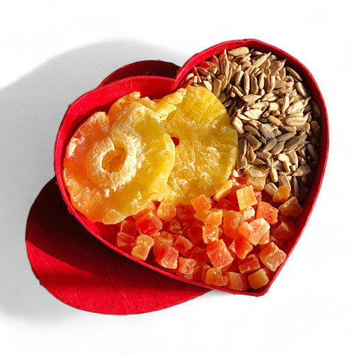 Cuddle & Treat Pack