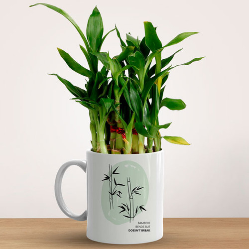 2-Layer Bamboo Plant in 'Bamboo Bends But Doesn't Break' Printed Mug