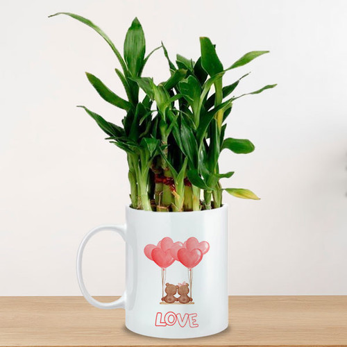 Natural Bamboo Plant in Love Themed Ceramic Mug