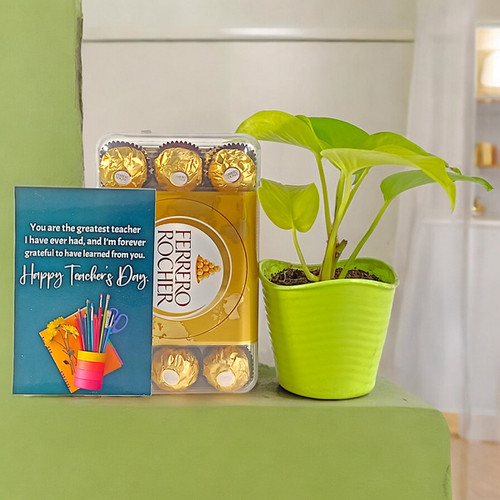Sweetness and Money Plant Gift Hampers for Teacher's Day