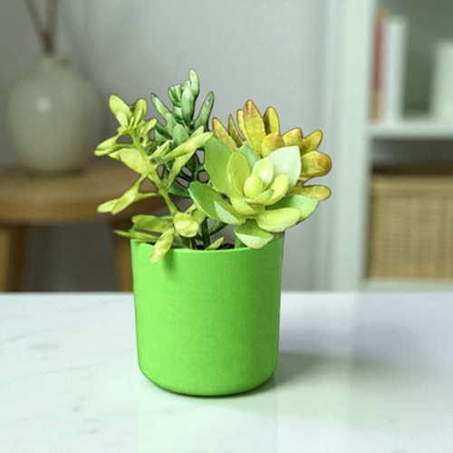 Self Watering Succulent Plant Pot – Free Engraving