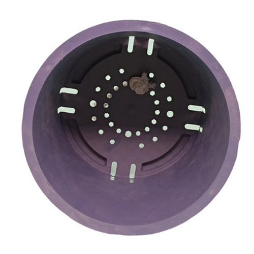 Succulent Plant in Self Watering Pot – Free Name Engraving