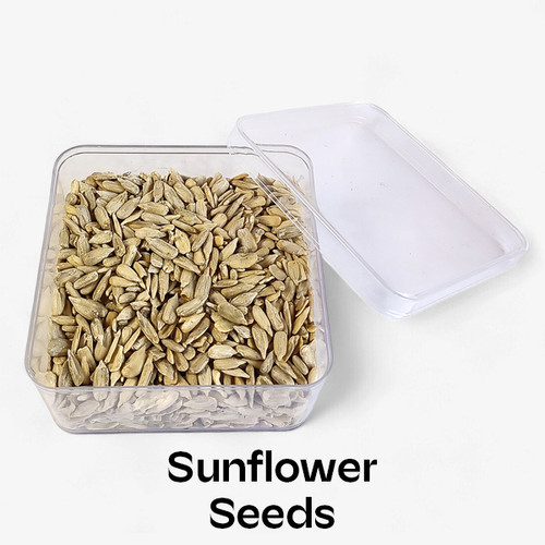 Sunflower Seeds 200 g in a Transparent Container