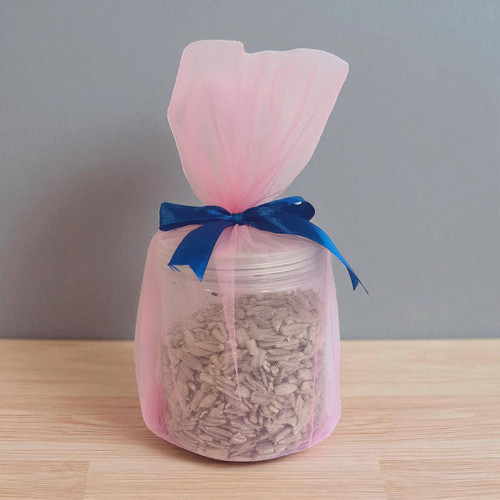 Sunflower Seeds 200 g in a Transparent Jar