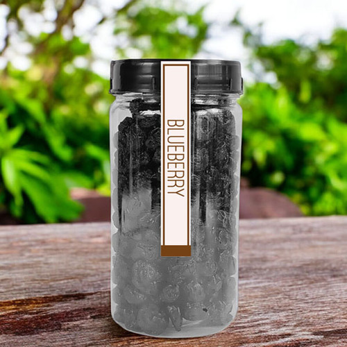 Dried Blueberries in Sealed Plastic Container â€“ 200g