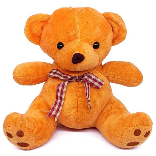 Custom Mini Teddy Bear With Photo & Message Print On T-shirt