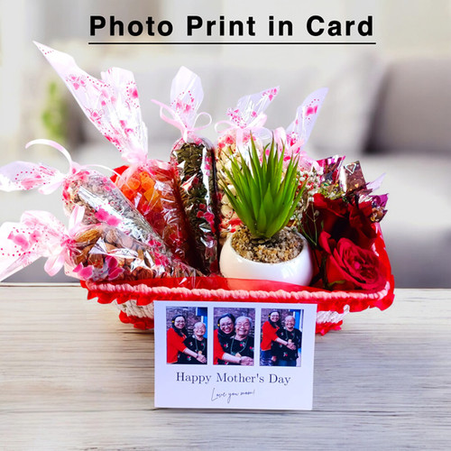 Dried Fruits & Nuts with Succulent Plant & Greeting Card for Mom
