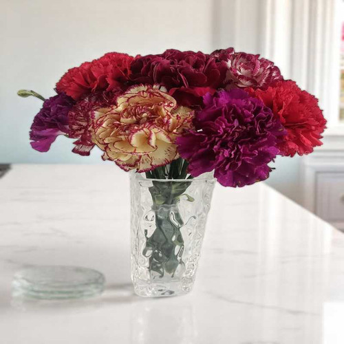 Carnation Bloom in Elegant Crystal Vase Carnation Bloom in Elegant Crystal Vase