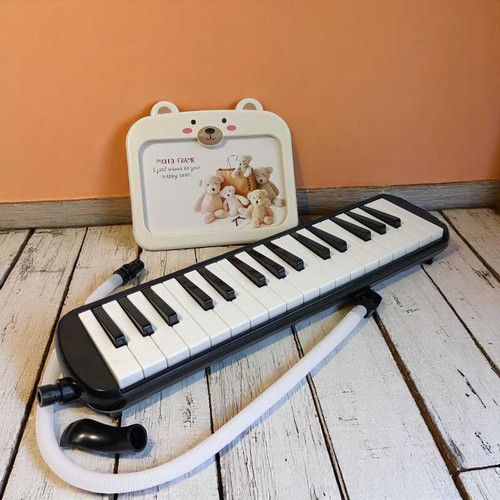 Musical Toy Piano with Cute Frame