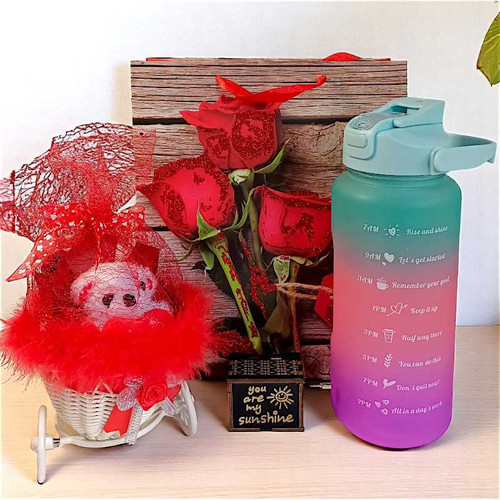 Teddy Combo with Water Bottle & Rhythmic Music Box
