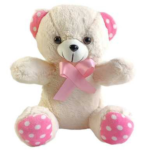 Bounty Birthday Surprise Box – With Teddy And Topper NKS-651 Giftmandu