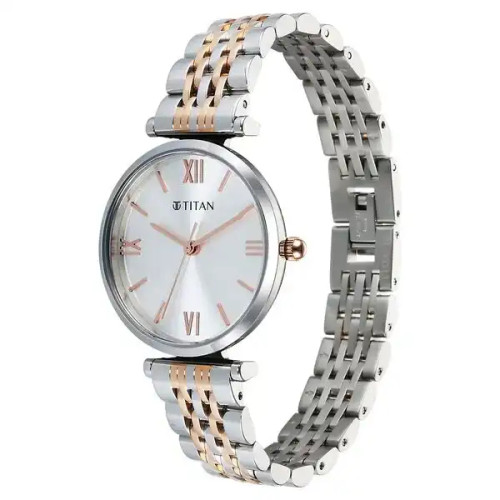 Titan Workmode Quartz Analog Silver Dial Metal Strap Watch For Women 95313KM01