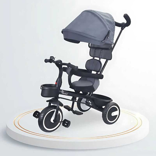 R for Rabbit Tiny Toes T30 Ace Tricycle-TCTT30AGY1 TCTT30AGY1