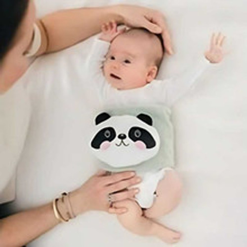 Dr.Brown's Infant Gripebelt, Panda