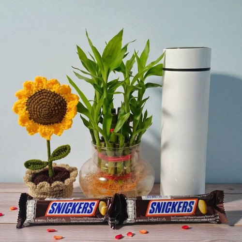 New Year Gift Set with Bamboo Plant & Chocolates