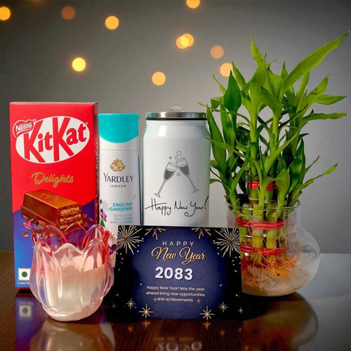 New Year Bliss Gift with Bamboo Plants & Treats for Her