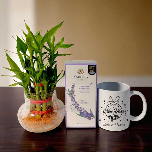 Lucky Bamboo Plant, Mug & Perfume New Year Surprise for Her JNK-5142
