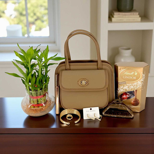 Handbag Gift Combo with Lindt Chocolate & Bamboo Plant for Her JNK-5181