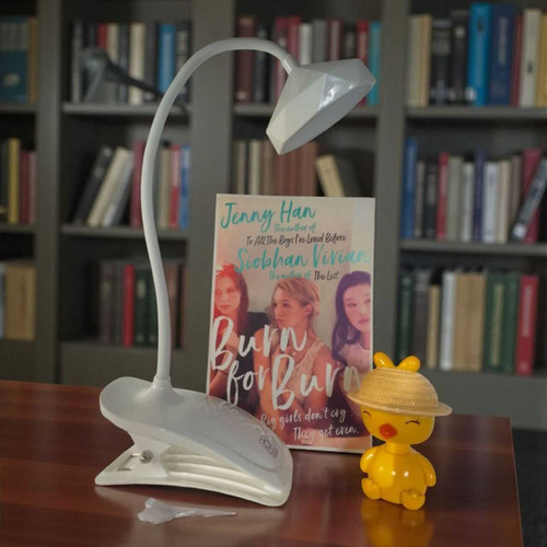 Illuminated Reading & Decor Gift Combo SK-1083
