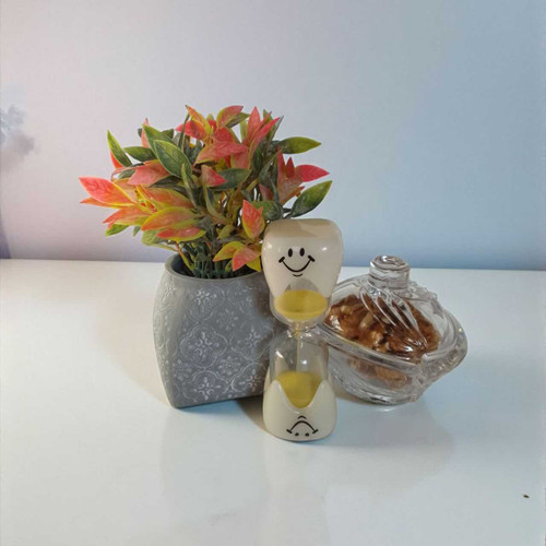 Elegant Desk Decor & Treat Set: Hourglass, Plant & Nuts SPM-67