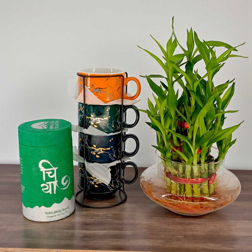 Ceramic Mug Set with Green Tea & Lucky Bamboo Gift SK-1145