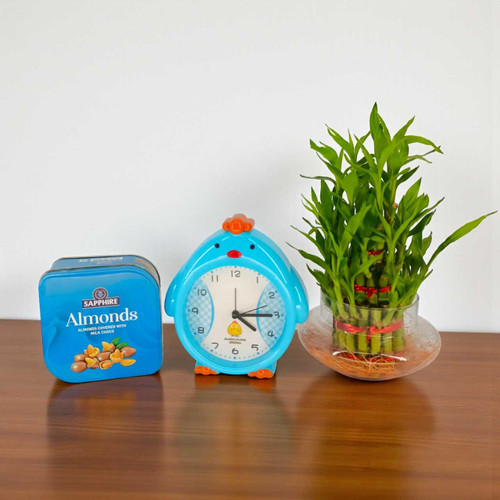 Time & Treats Hamper with Alarm Clock, Chocolate & Bamboo Plant JNK-5409