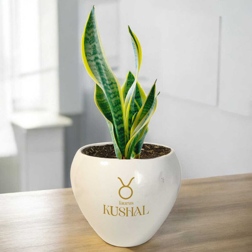Snake Plant Pot with Zodiac Sign & Name Printed