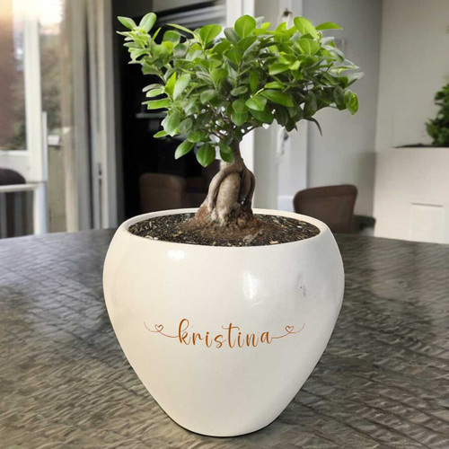 Personalized Natural Bonsai Plant with Name Printed Pot JNK-5555