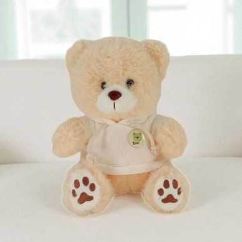 Premium Gift Basket for Him: White Wine 750ml, Teddy & Treats JNK-5599