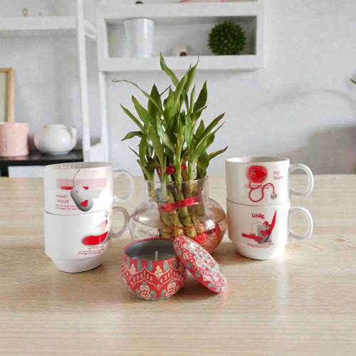 Lucky Bamboo Plant, Mug Set & Candle Gift Set SPM-511