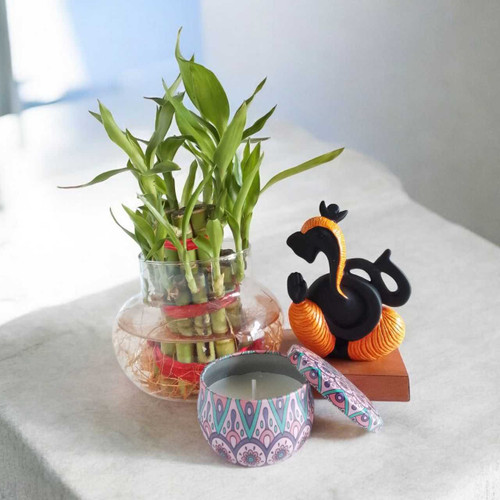Mandala Candle, Ganesha & Lucky Bamboo Plant Gift Set SPM-513
