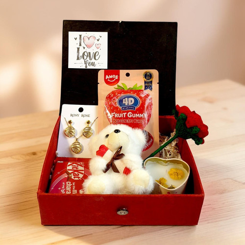 Love Gift Box with Teddy Keychain, Earrings & Necklace for Her
