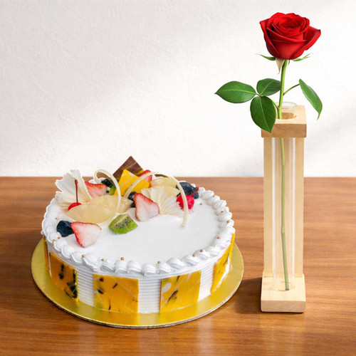 Charming Cake & Rose with Decorative Planter Set DKG-377