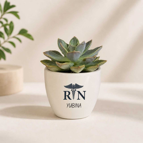 Nurse Caduceus Symbol Succulent Pot with Name JNK-7069